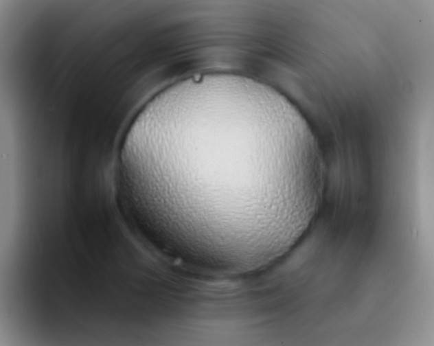 X0000092101178200709262136