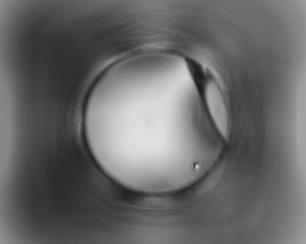 X0000092101179200709262136