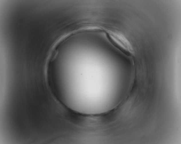 X0000092101181200709262136