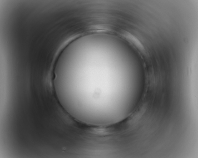 X0000092101182200709262136