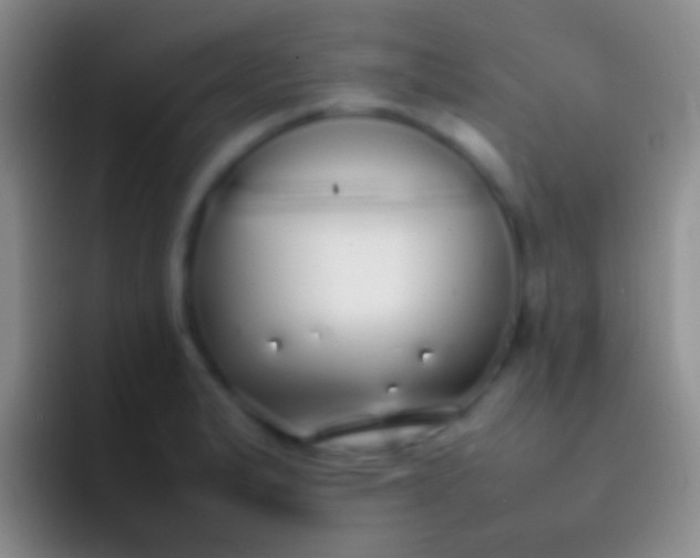 X0000092101183200709262136