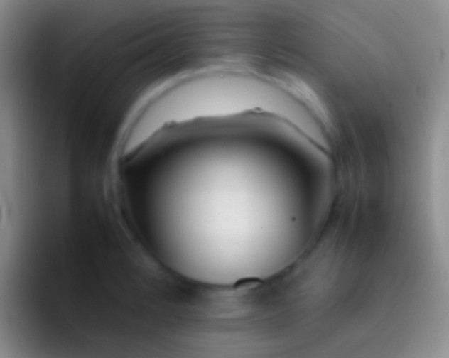 X0000092101184200709262136