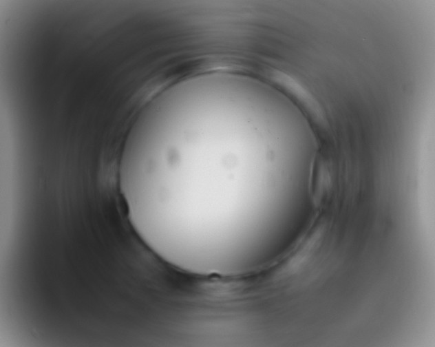 X0000092101185200709262136