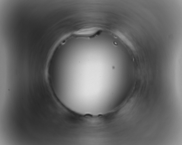 X0000092101189200709262136