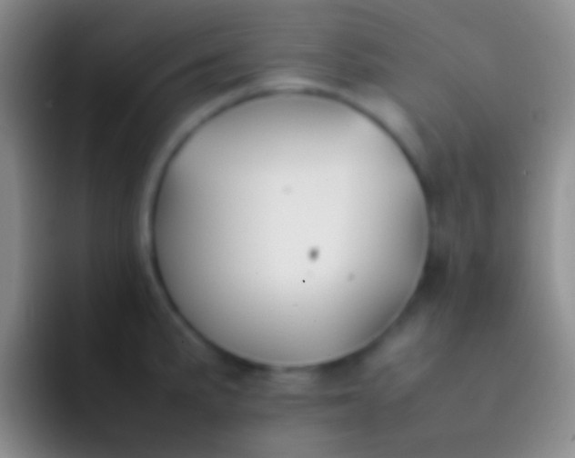 X0000092101191200709262136