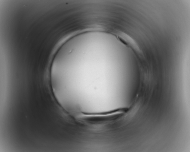 X0000092101192200709262135