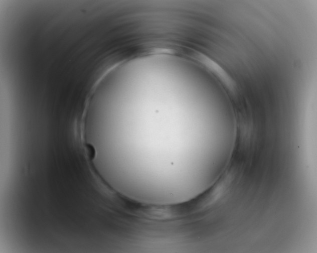 X0000092101194200709262135