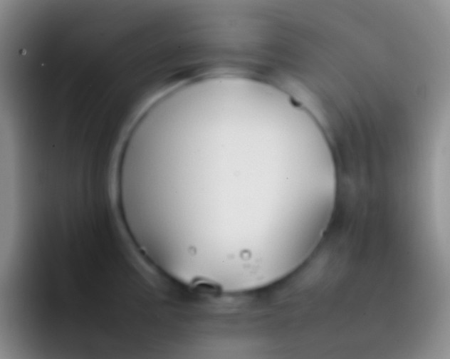 X0000092101195200709262135