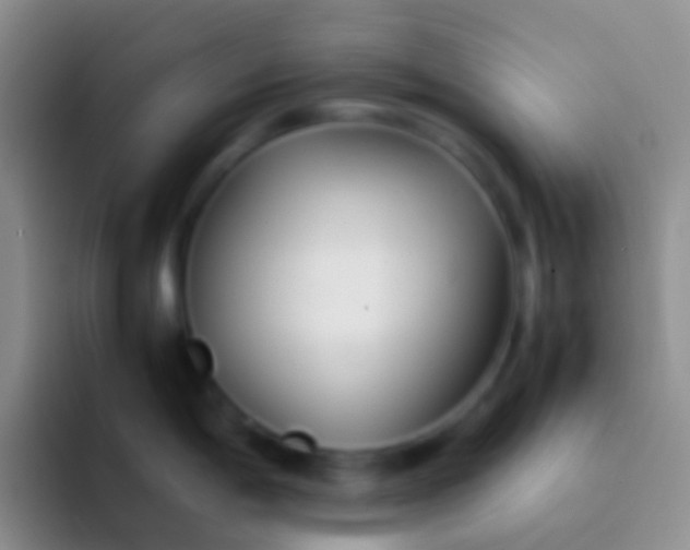 X0000092101198200709262135