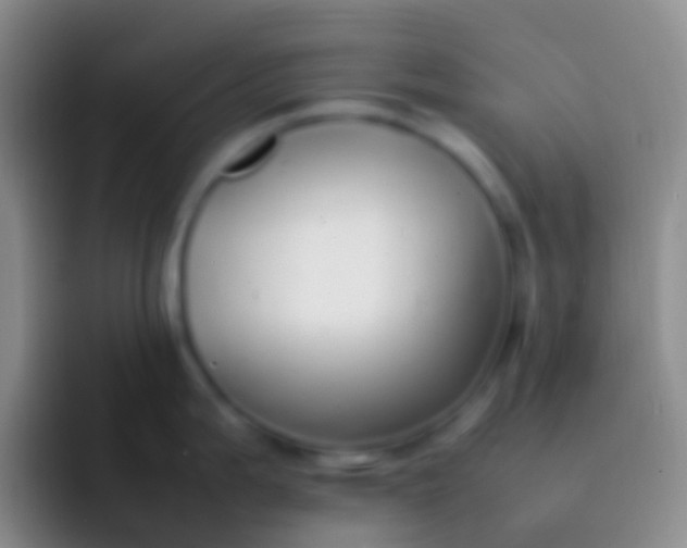 X0000092101199200709262135