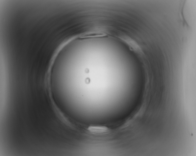 X0000092101200200709262135