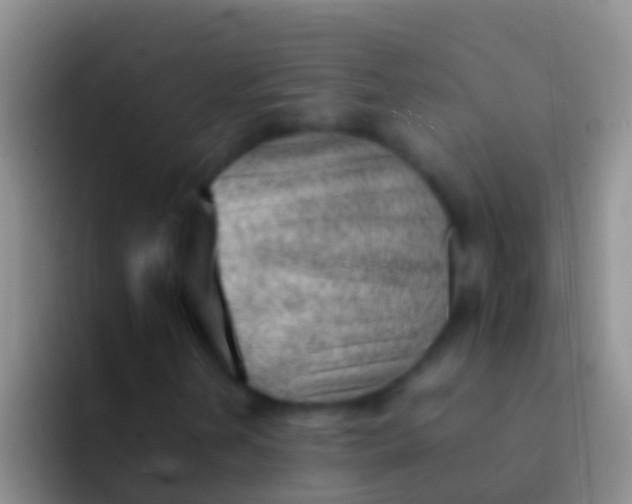 X0000092101202200709262135