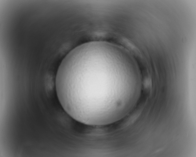 X0000092101204200709262135