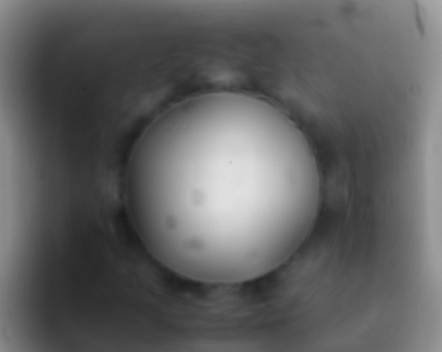 X0000092101205200709262135