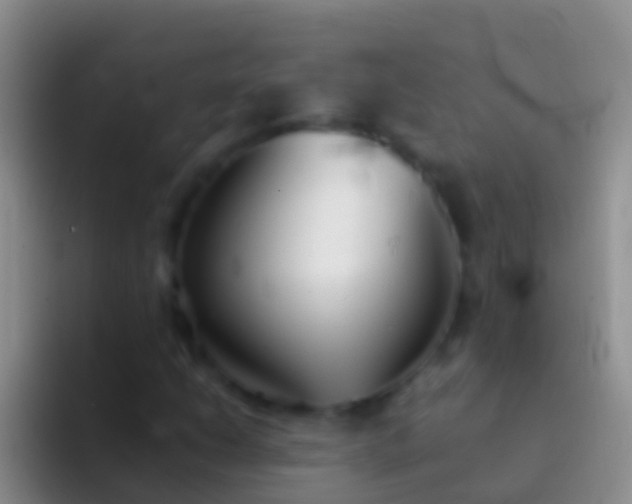 X0000092101206200709262135