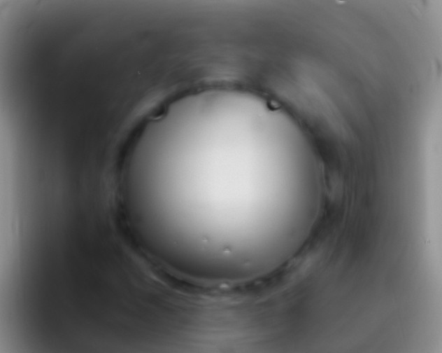 X0000092101208200709262135