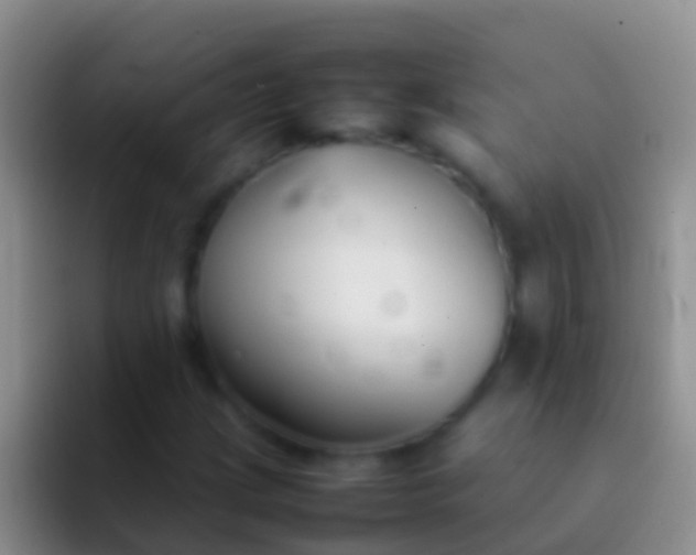 X0000092101209200709262135