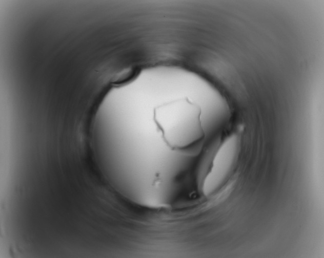 X0000092101210200709262135