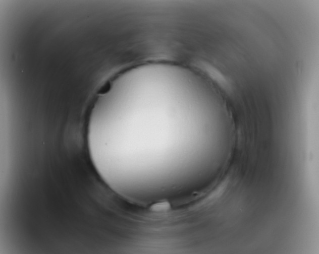 X0000092101212200709262135