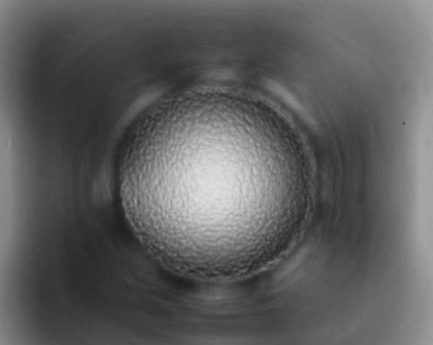 X0000092101213200709262135