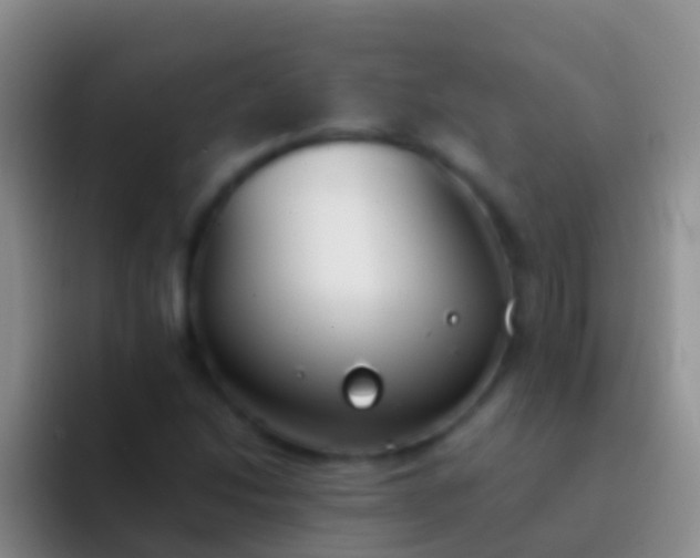 X0000092101214200709262135