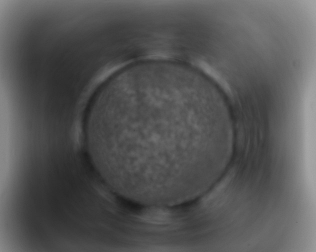 X0000092101215200709262135