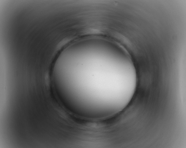 X0000092101218200709262135