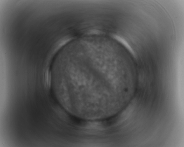 X0000092101219200709262135