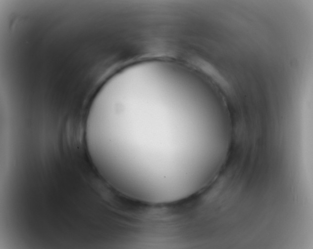 X0000092101220200709262135