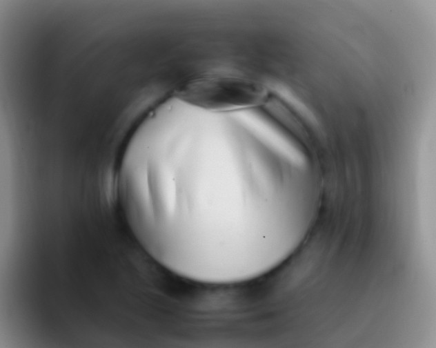 X0000092101221200709262135