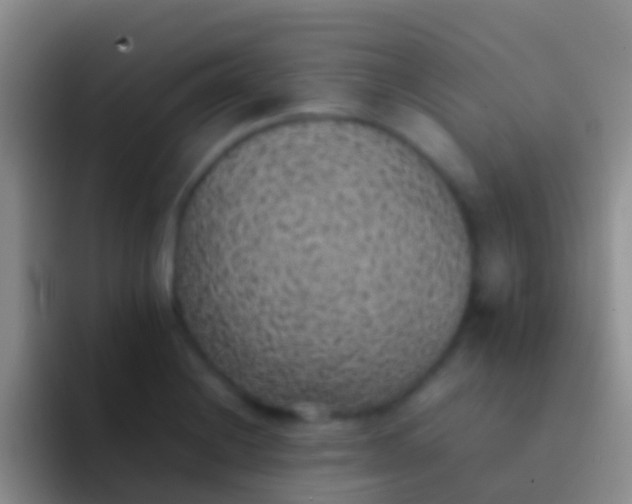 X0000092101228200709262135