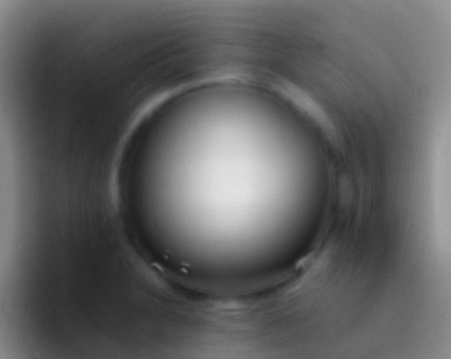 X0000092101230200709262135