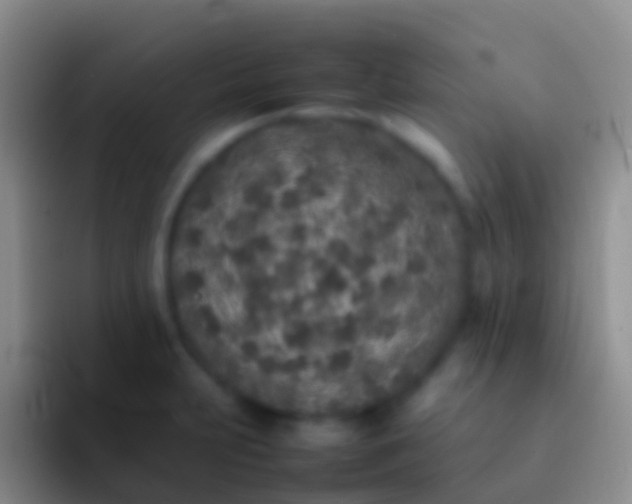 X0000092101231200709262135