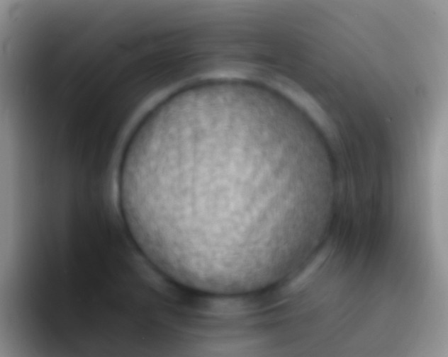 X0000092101232200709262135