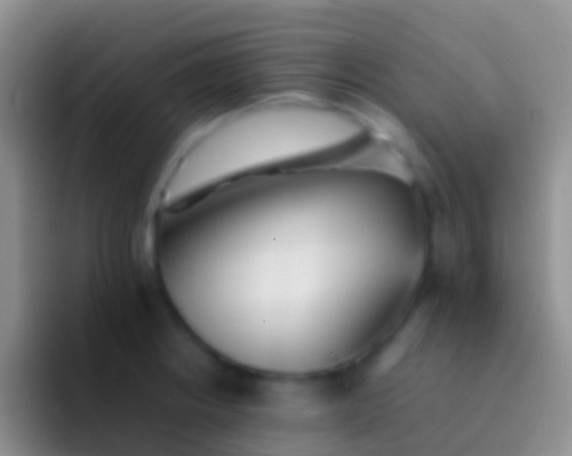 X0000092101234200709262135