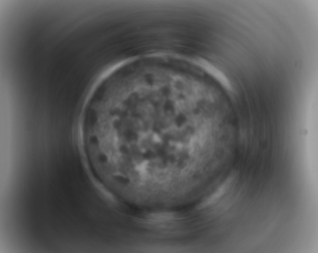 X0000092101239200709262135