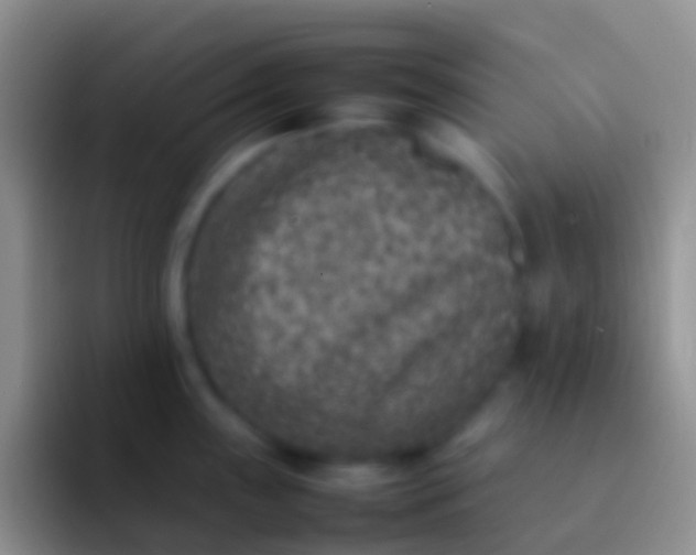 X0000092101243200709262135