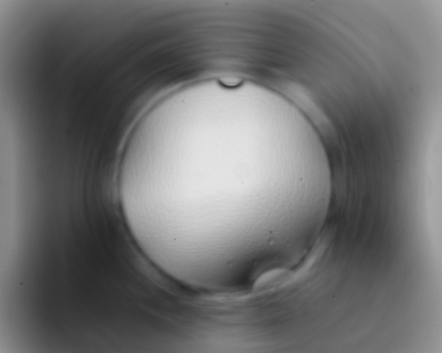 X0000092101244200709262135