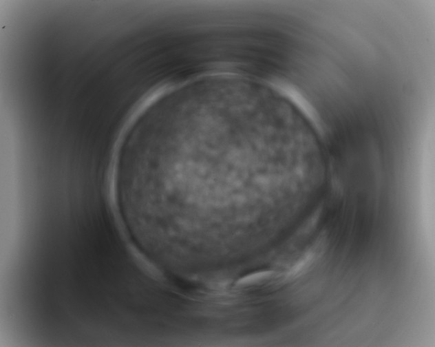 X0000092101245200709262135