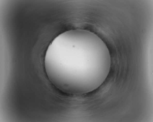 X0000092101249200709262135