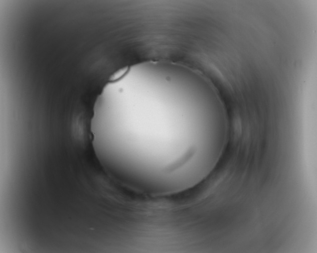 X0000092101250200709262135