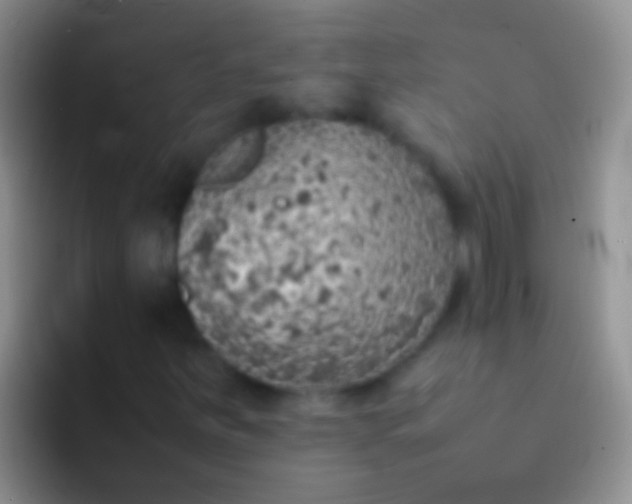 X0000092101251200709262135