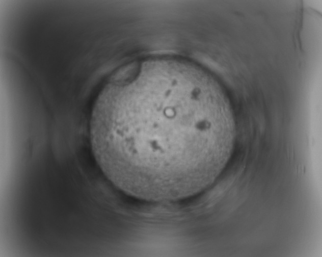 X0000092101255200709262135