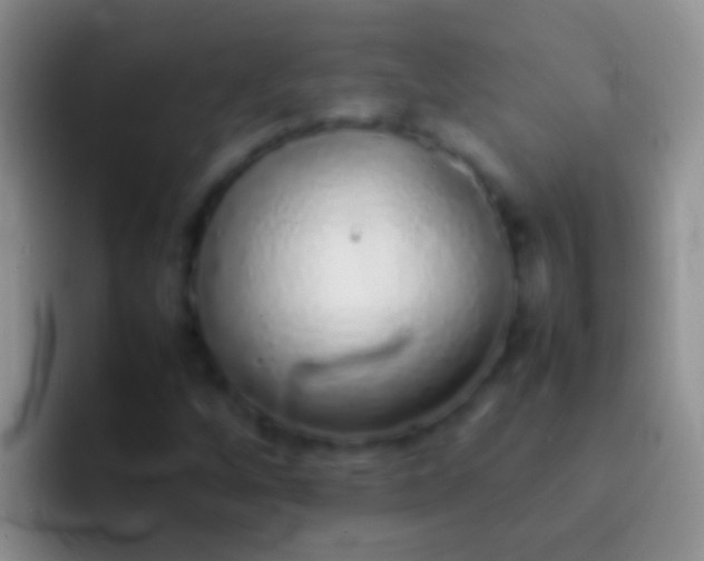 X0000092101256200709262135