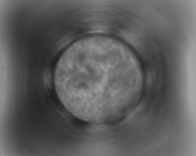 X0000092101258200709262135