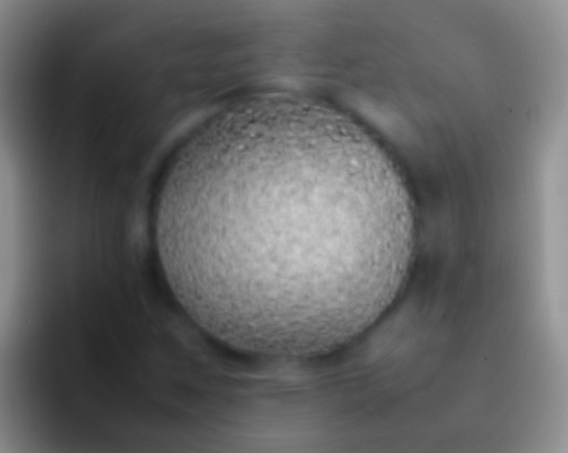 X0000092101259200709262135