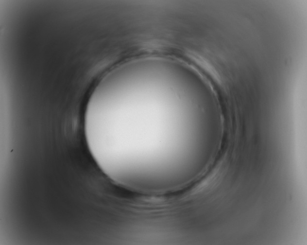 X0000092101261200709262135