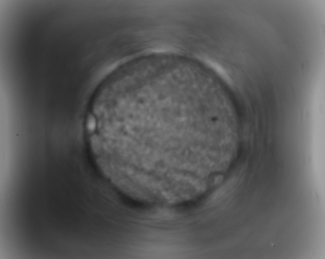 X0000092101263200709262135