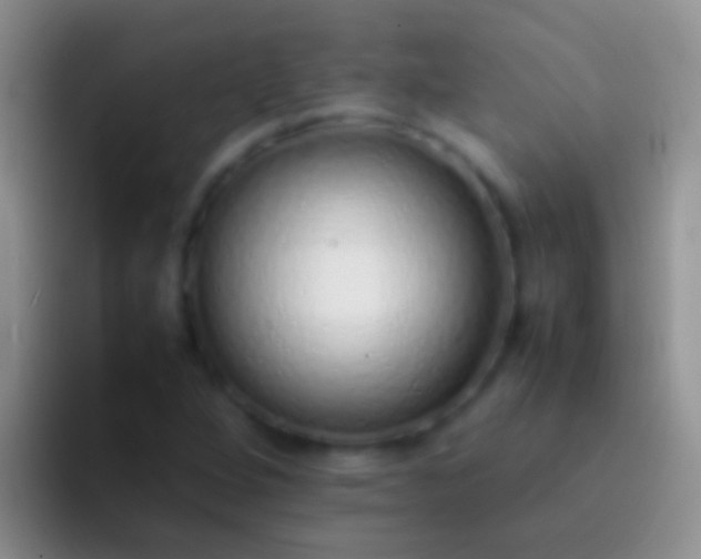 X0000092101264200709262135