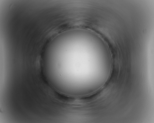 X0000092101265200709262135